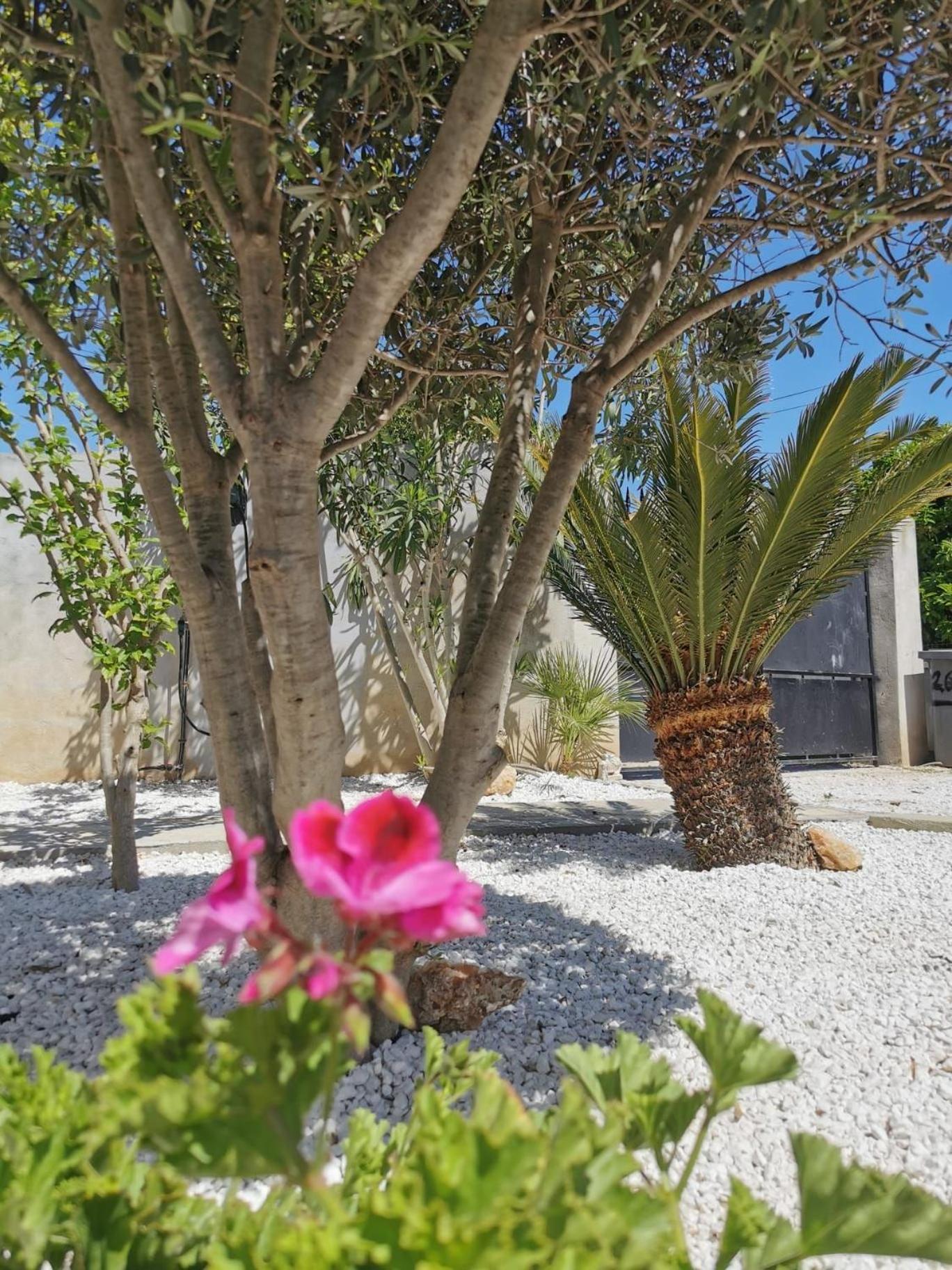 Jolie Maison Avec Jardin Villa